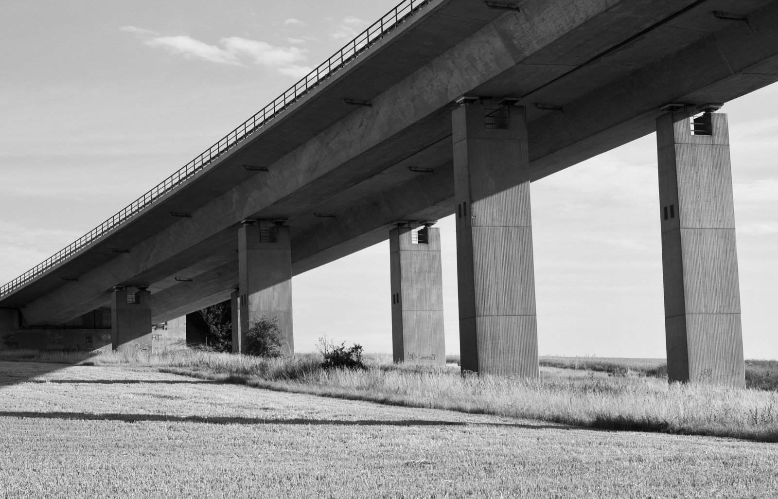 Concrete highway viaduct supported on tall piers